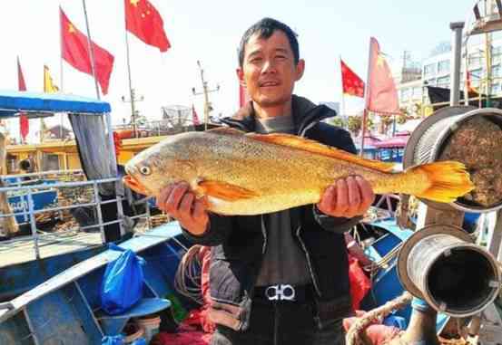 黃金價(jià)格象山今日查詢(寧波黃金價(jià)格)