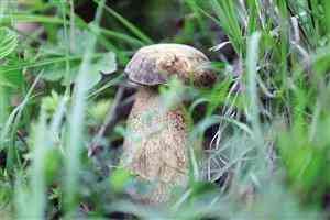 潮州興記金店金價查詢今日(潮州金價一克)