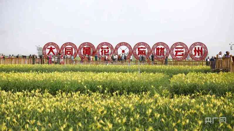 大同黃金價(jià)格今日多少一克(大同黃金價(jià)格查詢今日)