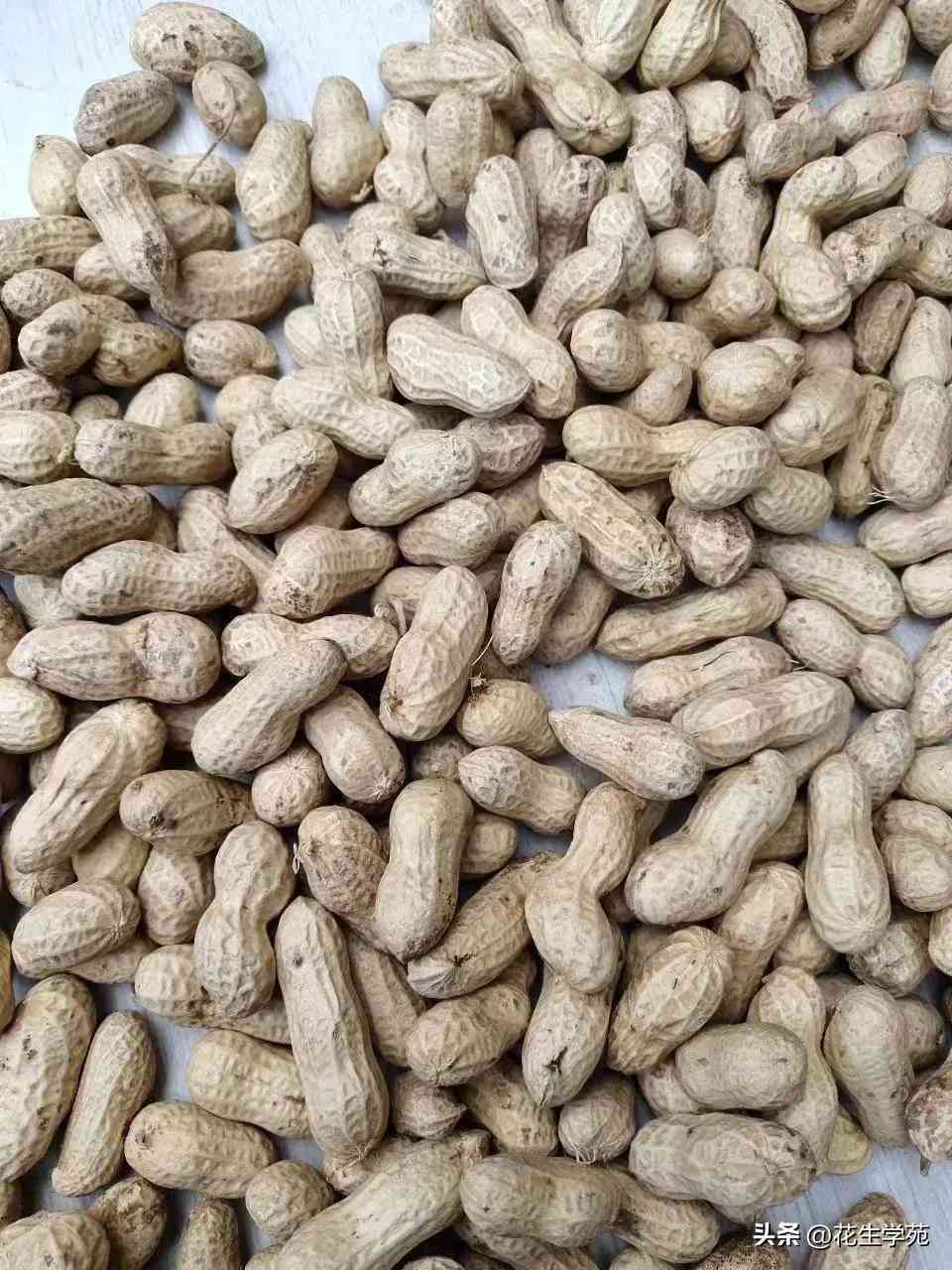 寧陵今日金價(今日金價多少一克寧德2020年)