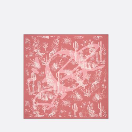  DIOR迪奧 22年秋冬 男士 圍巾 CACTUS JACK DIOR 飾巾 28B1090B0662_C480