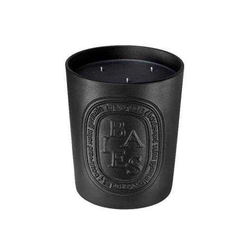 Diptyque蒂普提克 漿果香氛系列蠟燭600g 香薰室外蠟燭