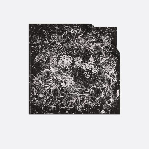  DIOR迪奧 22年秋冬 女士 絲巾 Dior 印花方巾 15ZOD055I607_C900 預(yù)定商品1-3周發(fā)貨