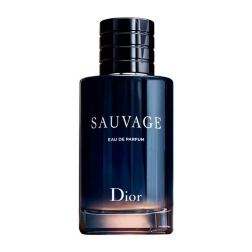 DIOR/迪奧迪奧曠野男士香水60ml/100ml