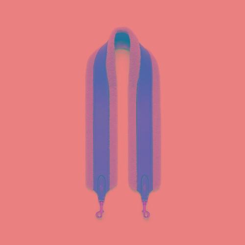  CELINE賽琳思琳 22年秋冬 女士 肩帶 羊毛革和牛皮革長肩帶 49S033AEQ.02NT