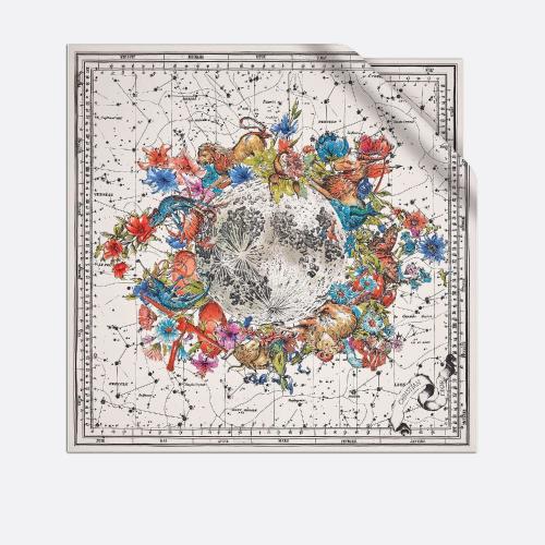  DIOR迪奧 22年秋冬 女士 絲巾 Dior 印花方巾 15ZOD090I607_C800 預(yù)定商品1-3周發(fā)貨