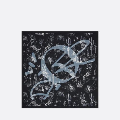  DIOR迪奧 22年秋冬 男士 圍巾 CACTUS JACK DIOR 飾巾 28B1090B0662_C585