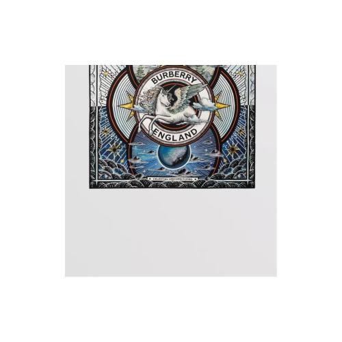  BURBERRY 22年秋冬 女士 天體印花絲質(zhì)方巾 80497991