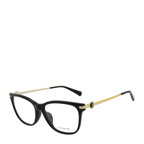 COACH/蔻馳 光學(xué)鏡架 眼鏡架 男女款 板材 全框 氣質(zhì) 優(yōu)雅 復(fù)古 時尚 拼色 CH6176F55mm Coach(蔻馳)