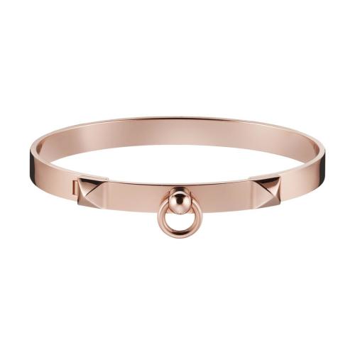  HERMES愛(ài)馬仕 22年秋冬 女士 手鐲 Bracelet Collier de chien， petit modele H214435B 00ST