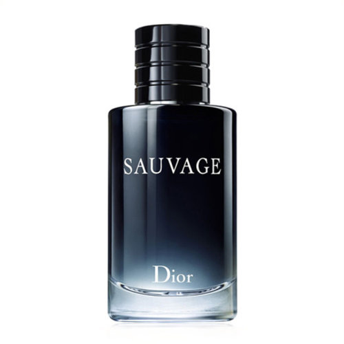 DIOR/迪奧曠野男士淡香水100ml