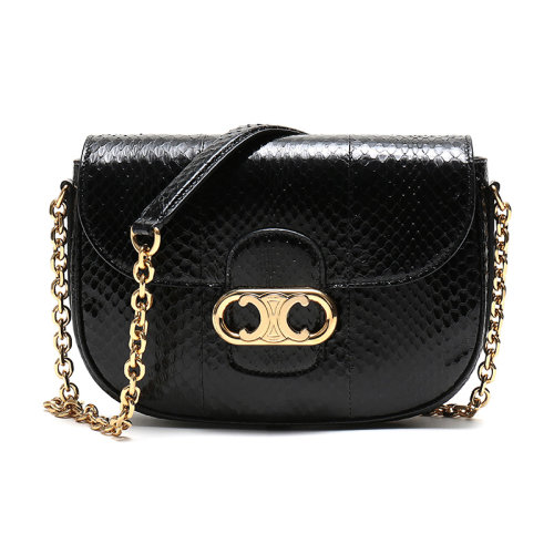 CELINE/賽琳 女士皮質單肩斜挎包 191344BUO