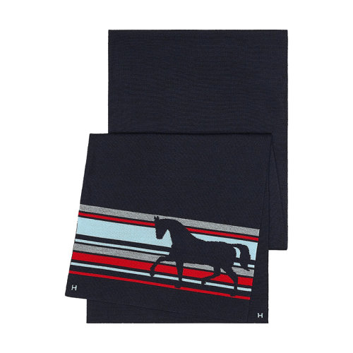 HERMES/愛馬仕 男士海軍/紅色/天空色火熱的馬條紋圖案羊絨真絲圍巾H733767T03