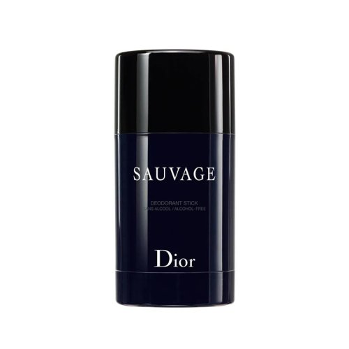 DIOR/迪奧 曠野男士香體止汗膏75G