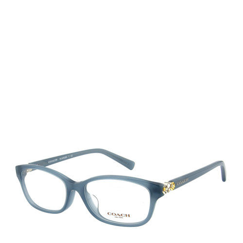 COACH/蔻馳 優(yōu)雅 復(fù)古 鑲鉆 橢圓形 女士 光學(xué)鏡架 板材 全框 近視 眼鏡框 眼鏡架 HC6092BD 54mm COACH/蔻馳