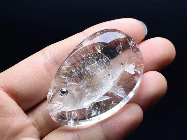 為什么海水晶能讓魚增重