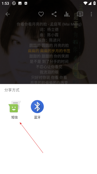 脈沖音樂播放器pulsar