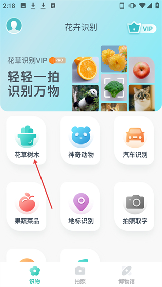 花卉識別