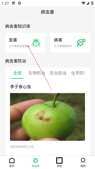 八步三華李產(chǎn)業(yè)分析