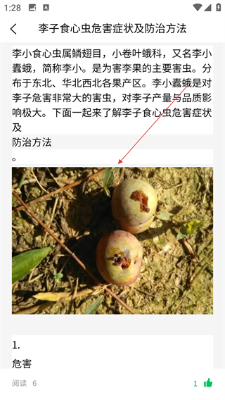 八步三華李產(chǎn)業(yè)分析