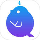 音殼樂理視唱練耳