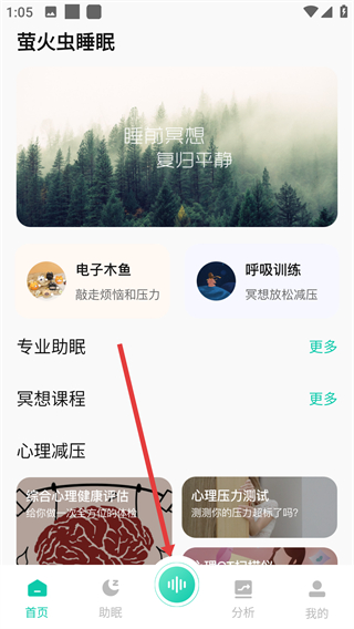 螢火蟲(chóng)睡眠