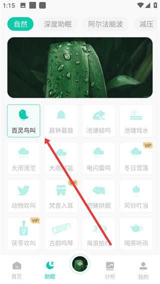 螢火蟲(chóng)睡眠