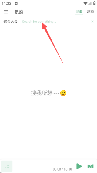 洛雪音樂車機(jī)版