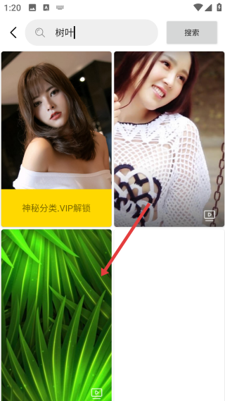 手機(jī)動(dòng)態(tài)壁紙