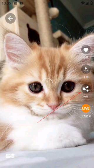 好看手機(jī)壁紙