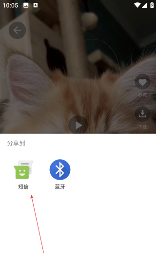 好看手機(jī)壁紙