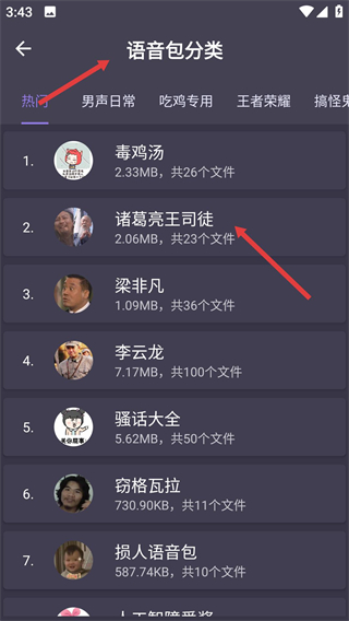 專業(yè)變聲器