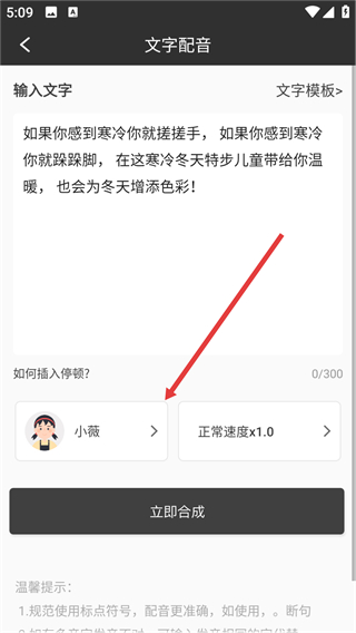 視頻配音生成器