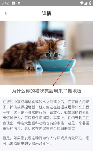 鳥(niǎo)叫聲大全