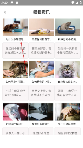 鳥(niǎo)叫聲大全