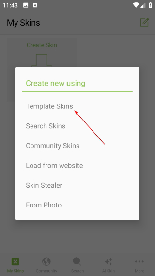 Skinseed皮膚制作器