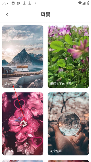 手機(jī)彩鈴免費(fèi)版