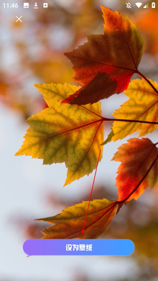 口袋免費(fèi)壁紙