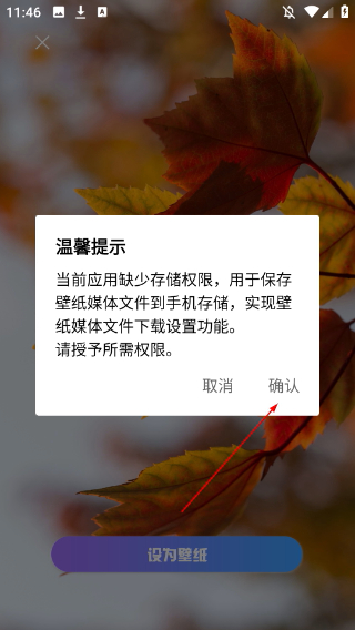 口袋免費(fèi)壁紙